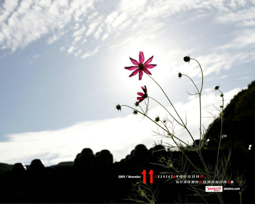 400983 (a): :1280x1024